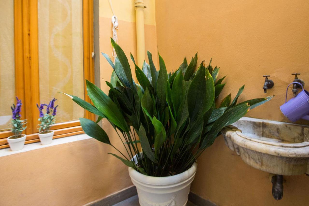 Charming Fiesolana Apartment In Heart Of فلورنس المظهر الخارجي الصورة